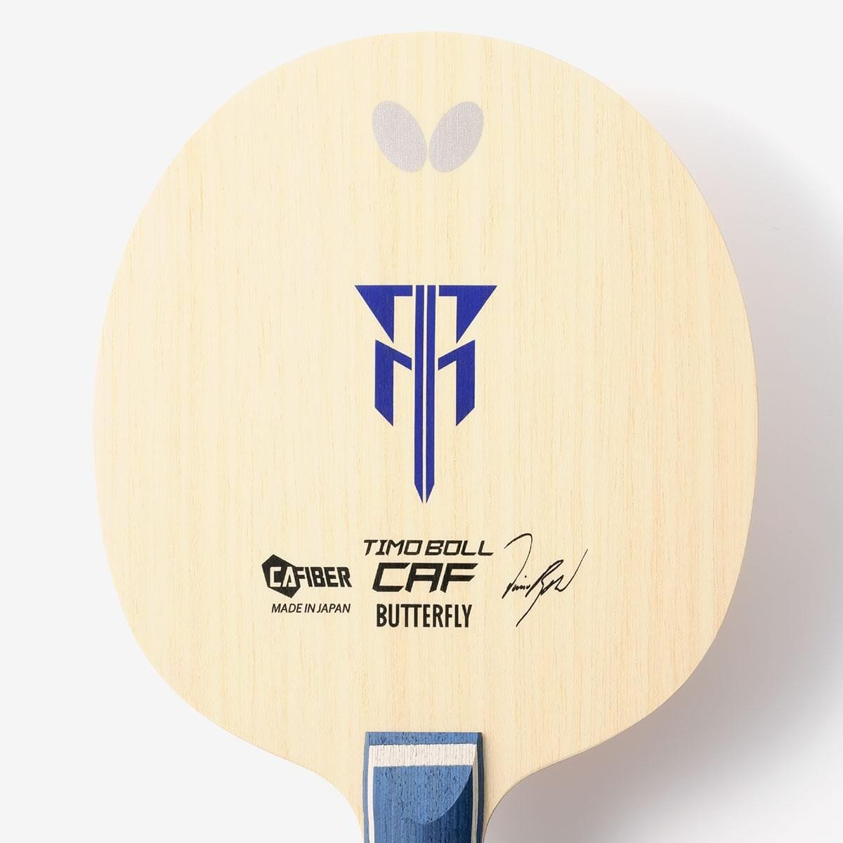 蝴蝶 TIMO BOLL CAF